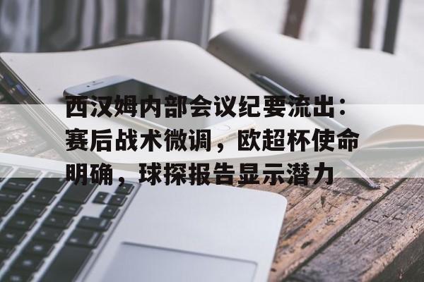 开云登录入口-西汉姆内部会议纪要流出：赛后战术微调，欧超杯使命明确，球探报告显示潜力(西汉姆联对切尔西伤员)